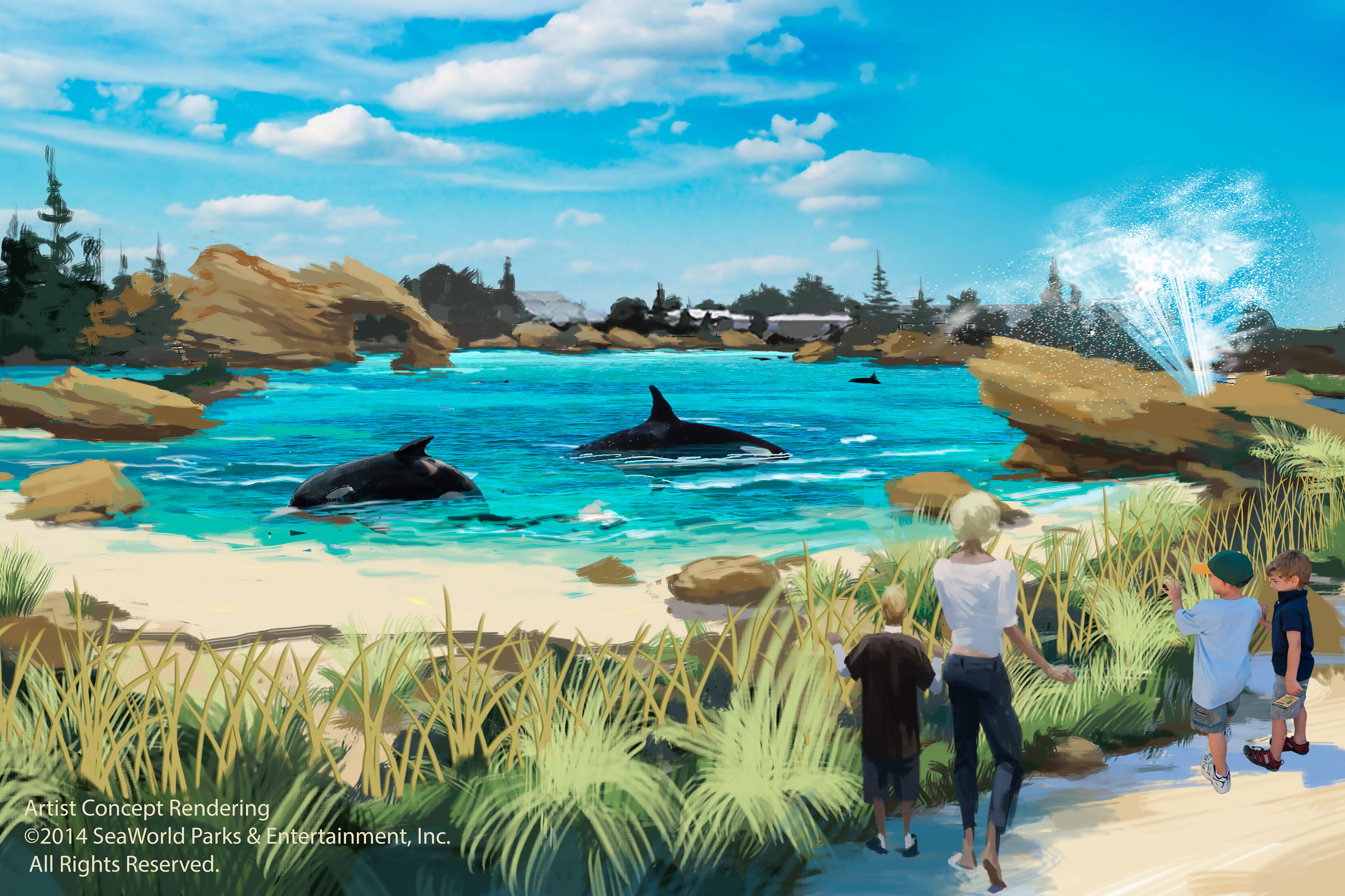 sea-beach-view